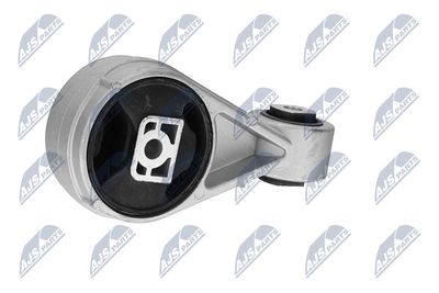 SUPORT MOTOR NTY ZPSFR003 21