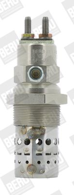 BorgWarner (BERU) Glühkerze