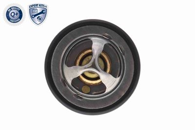 TERMOSTAT LICHID RACIRE ACKOJA A70990031 4