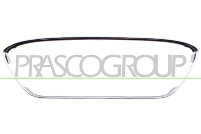 ZIER-/SCHUTZLEISTE KüHLERGITTER