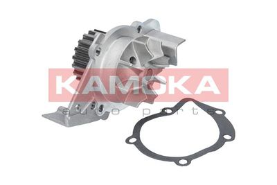 Water Pump, engine cooling T0082