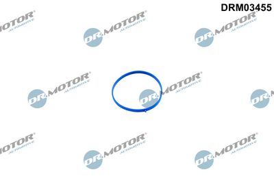 Tesnenie, hrdlo škrtacej klapky DR.MOTOR DRM03455