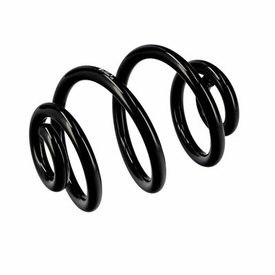 ARC SPIRAL EIBACH R10030 5