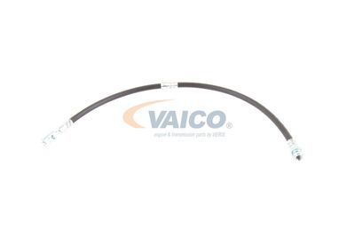 FURTUN FRANA VAICO V103077 13