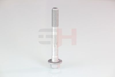 SURUB CAPAT DE AX GH GH391580 56