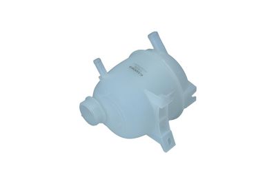 VAS DE EXPANSIUNE RACIRE