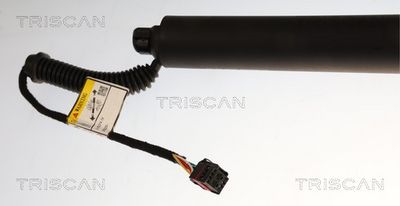 Gasfjeder, kuffert-/lastrum TRISCAN 8710 29339