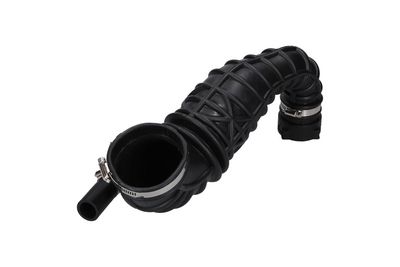 FURTUN ULEI KAMOKA 7912511 1