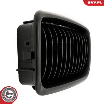 GRILA RADIATOR ESEN SKV 66SKV213 5