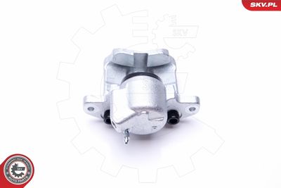 Brake Caliper 42SKV632