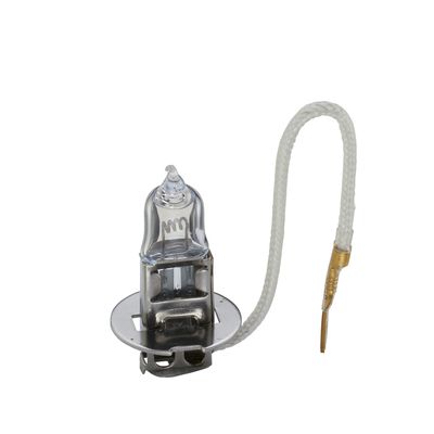 BEC INCANDESCENT BOSCH 1987302431 31