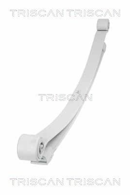 TRISCAN Federnpaket