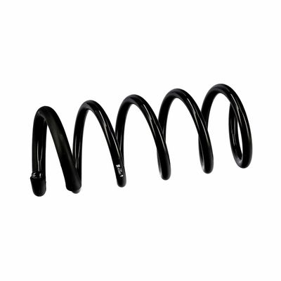 ARC SPIRAL EIBACH R10661 6