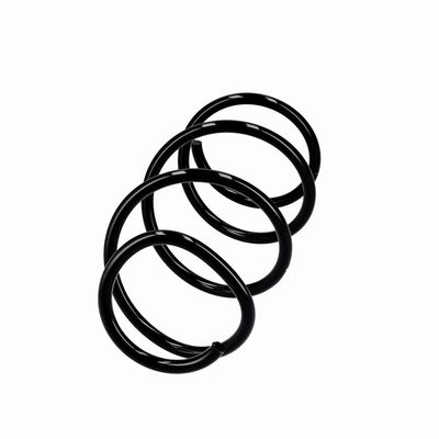 ARC SPIRAL EIBACH R10839 2