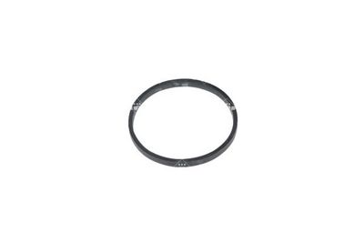 TERMOSTAT LICHID RACIRE NRF 725245 5