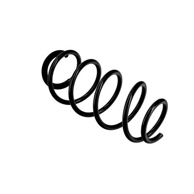 ARC SPIRAL EIBACH R10067 10