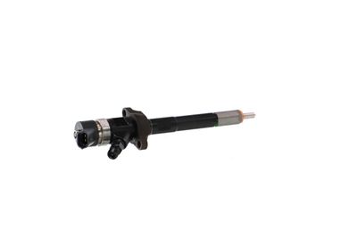 INJECTOR REMANTE 002003000030R 33