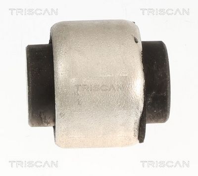 SUPORT TRAPEZ TRISCAN 8500118065 1