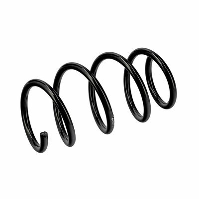 ARC SPIRAL EIBACH R19597 5