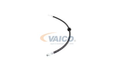 FURTUN FRANA VAICO V201909 23