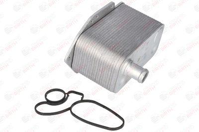 RADIATOR ULEI ULEI MOTOR BIRTH 80308 11