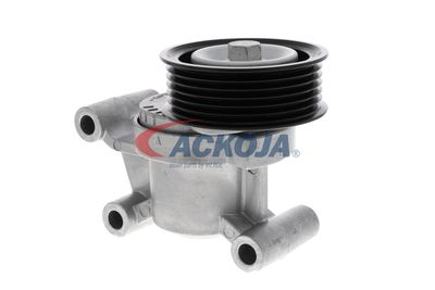 INTINZATOR CUREA CUREA DISTRIBUTIE ACKOJA A320602 41