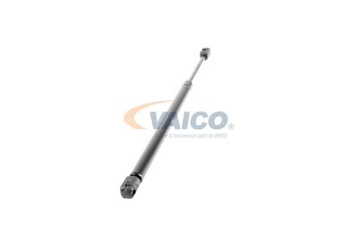 GASFEDER KOFFER-/LADERAUM VAICO V250421 51