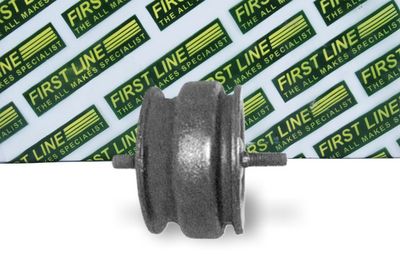 окачване, двигател FIRST LINE FEM3273