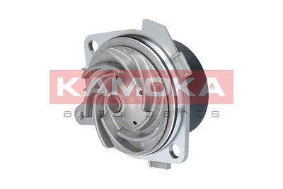 Water Pump, engine cooling T0012