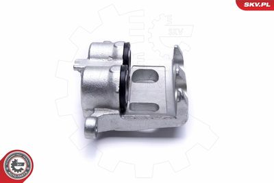 Brake Caliper 55SKV012