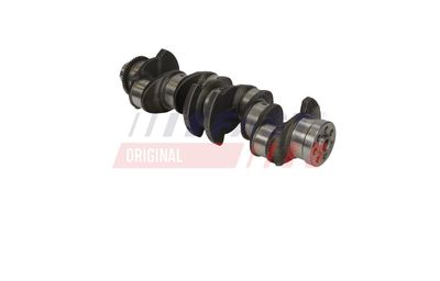 ARBORE COTIT FAST FT51759 14