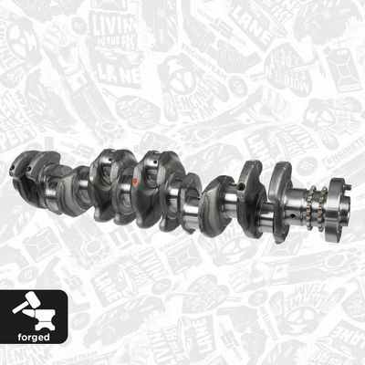 ARBORE COTIT ET ENGINETEAM HK0212 1