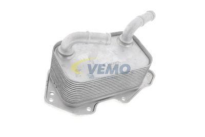 RADIATOR ULEI ULEI MOTOR VEMO V15606019 61