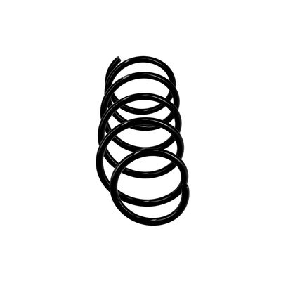 ARC SPIRAL EIBACH R10077 13