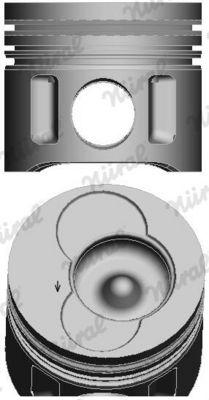 Piston NÜRAL 1910025379