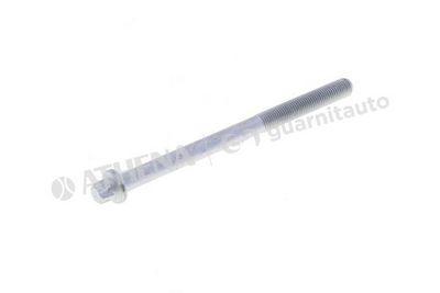 SET SURUB CHIULASA GUARNITAUTO 7035011010 1