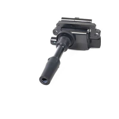 ZüNDSPULE DELPHI GN1030212B1 20