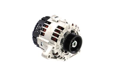GENERATOR / ALTERNATOR REMANTE 011003000553R 49