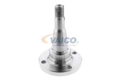 BUTUC ROATA CORP AXA VAICO V400793 54