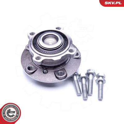 SET RULMENT ROATA ESEN SKV 29SKV234 1