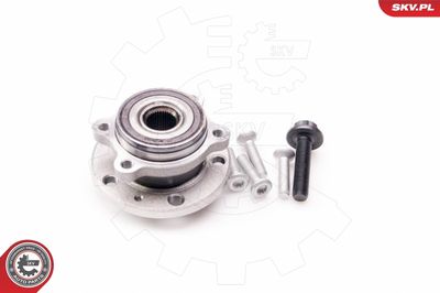 Wheel Bearing Kit 29SKV010