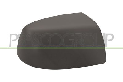 ACOPERIRE OGLINDA EXTERIOARA