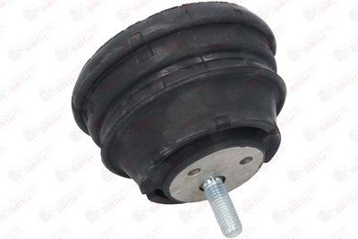SUPORT MOTOR BIRTH 50124 11