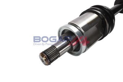 PLANETARA BOGAP B3710377 2