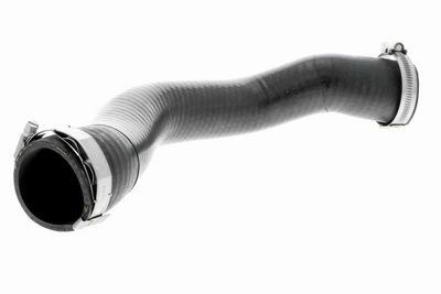 FURTUN EAR SUPRAALIMENTARE