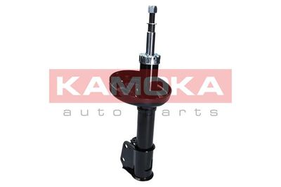 Shock Absorber 2001056