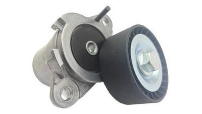 VKM 31160