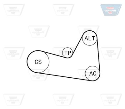 SET CUREA TRANSMISIE CU CANELURI OPTIBELT 6PK1200KT1 1