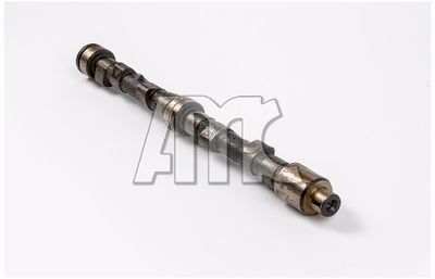 NOCKENWELLE AMC 647013 2