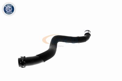 FURTUN RADIATOR VAICO V302972 4